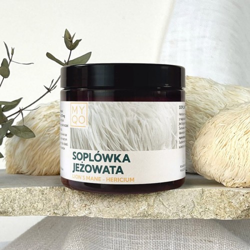 soplowka-jezowata-lion-s-mane-hericium.jpg