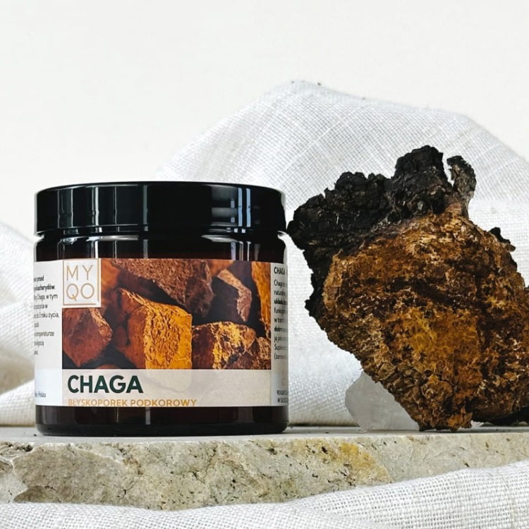chaga-blyskoporek-podkorowy.jpg