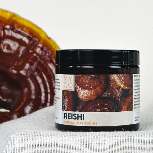 reishi-lakownica-lsniaca-ganoderma-lucidum.jpg