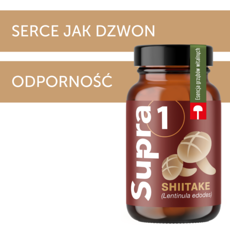 Shiitake-grzyb-witalny-150g-2-460x460.png