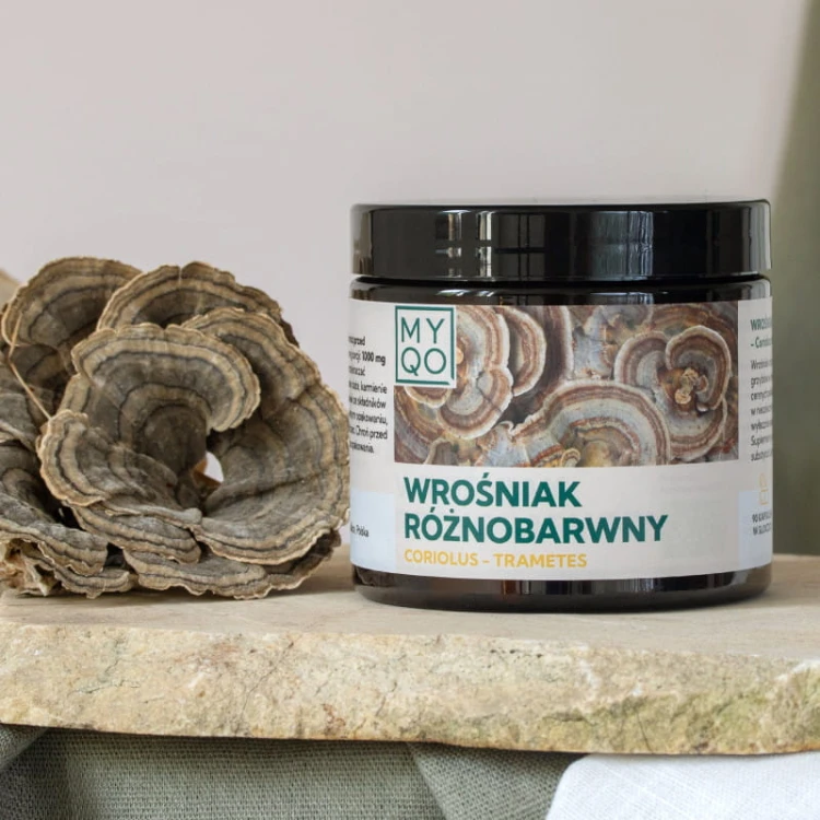 coriolus-wrosniak-roznobarwny.jpg