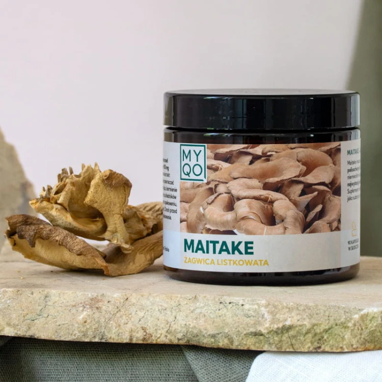 maitake-zagwica-listkowata.jpg