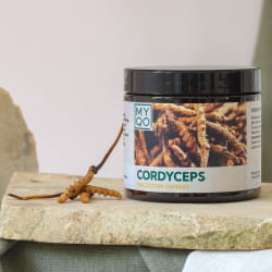 cordyceps-sinensis-maczuznik-chinski.jpg
