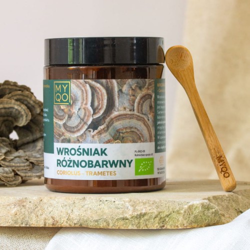wrosniak-roznobarwny-coriolus-versicolor.jpg