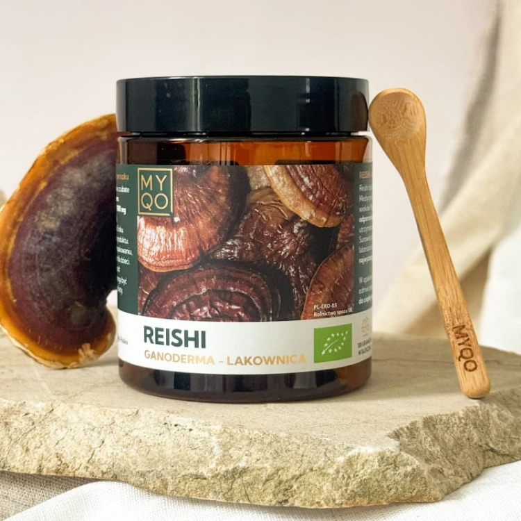 reishi-lakownica-lsniaca-ganoderma-lucidum.jpg