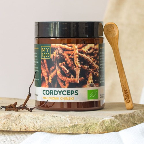 cordyceps-sinensis-maczuznik-chinski (1).jpg