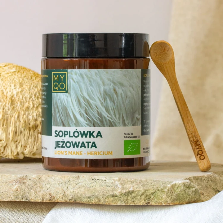 soplowka-jezowata-lion-s-mane-hericium.jpg