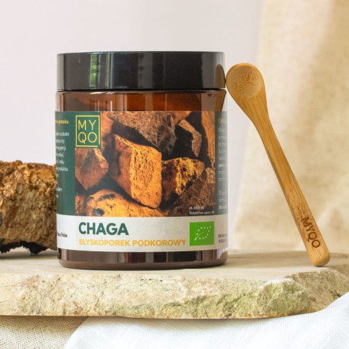 chaga-blyskoporek-podkorowy.jpg